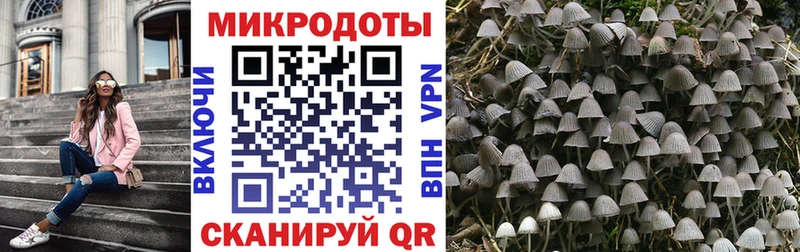 закладки  Дигора  Галлюциногенные грибы мухоморы 